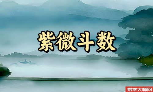 紫微星中谁代表智慧的星宿?